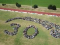DCIM\100MEDIA\DJI_0024.JPG