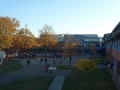 06_DSC03084