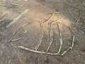 IMG_7449