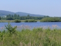 P1330538