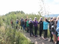 bild17