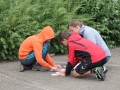 bild23