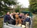 IMG_3055-2022-11-01-09_56_14