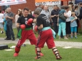 SAM_3046