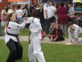 SAM_3047