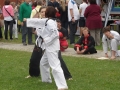SAM_3048