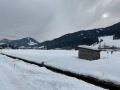 IMG_0906