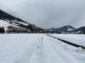 IMG_0907