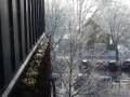DSCN8518
