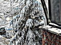 DSCN8519-001