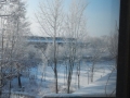 DSCN8523