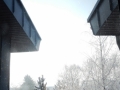 DSCN8525