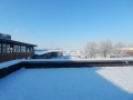 DSCN8526
