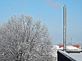 DSCN8530