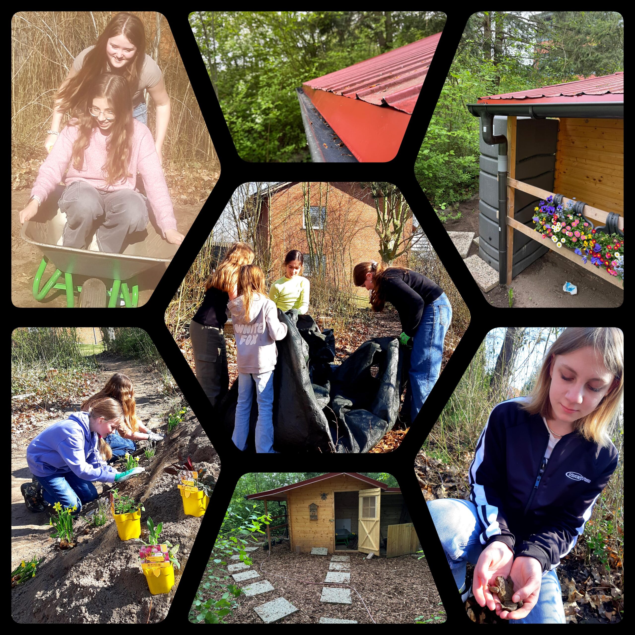 InCollage_20250711_090413216 Kopie